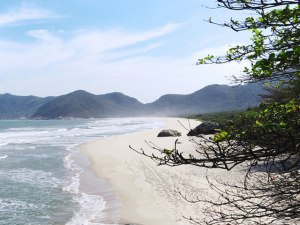 A Praia de Grumari - distante cerca de 20 km da Barra da Tijuca - é ponto de encontro de surfistas, banhistas e naturistas que buscam paz e sossego (Foto: licença Wikimedia Commons)