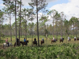 Ah, como faz bem passar algumas horas no campo. O passeio a cavalo é um dos roteiros mais vendidos do Forever Florida (Foto: Eduardo Oliveira)